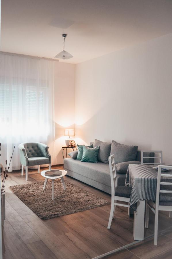 Apartman Lena Banja Koviljaca Bagian luar foto