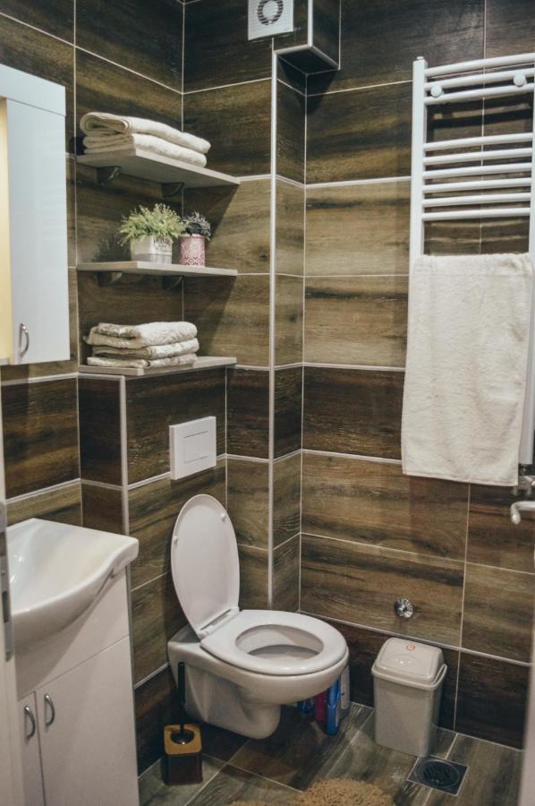 Apartman Lena Banja Koviljaca Bagian luar foto